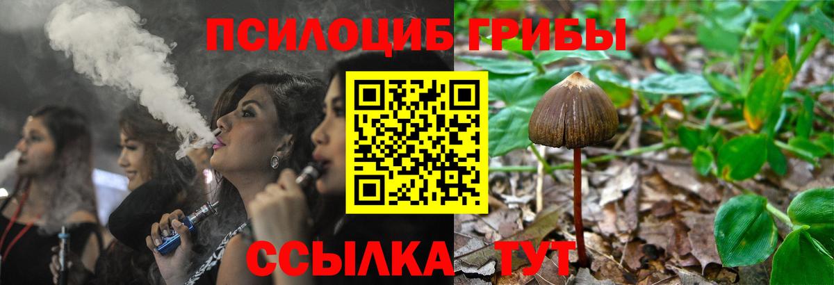 Псилоцибиновые грибы Cubensis  Псилоцибиновые грибы прущие грибы  Вход с VPN  закладки  Вольск 